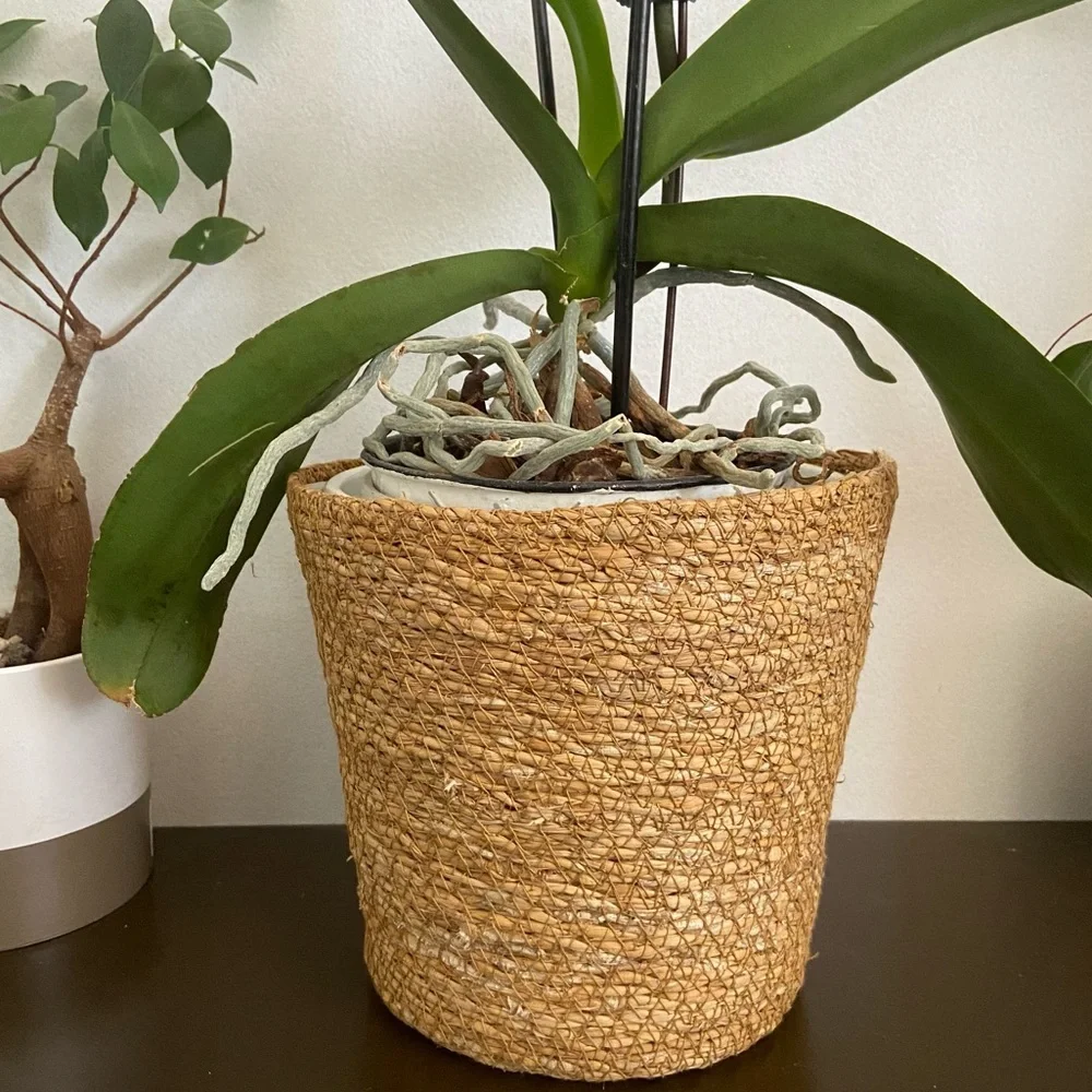 Basket Planter